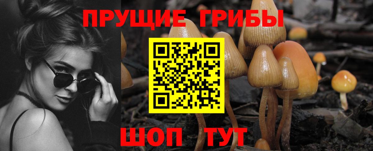 Ялта  Псилоцибиновые грибы мухоморы  Вход с VPN 